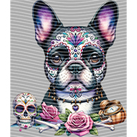 Animal Text Series-AT 257